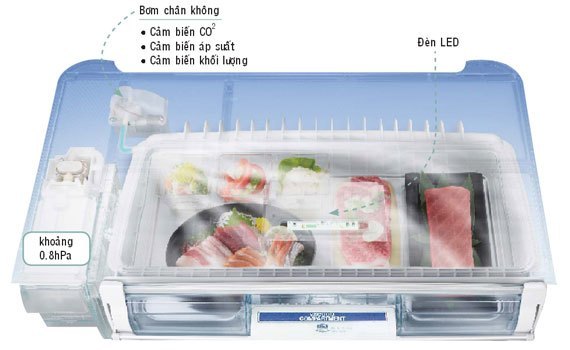 Mua tủ lạnh ở đâu tốt? Tủ lạnh Hitachi R-SF57CMS 586 lít trắng