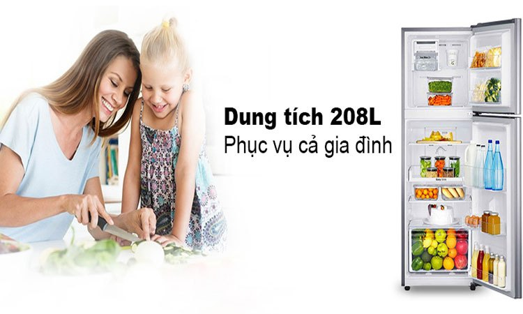 Tủ lạnh Samsung 208L RT20K300ASE dung tích 208 lít