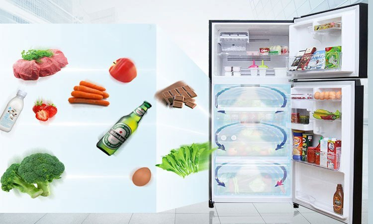 Tủ lạnh Toshiba 305 lít GR-MG36VUBZ (XK) bảo quản thực phẩm tươi ngon mỗi ngày