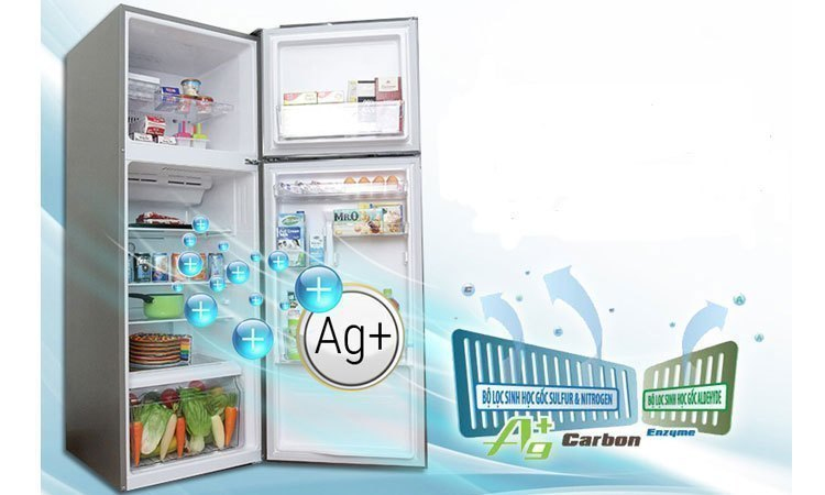 Tủ lạnh Toshiba GR-M28VBZ(S) màu bạc sang trọng, hiện đại