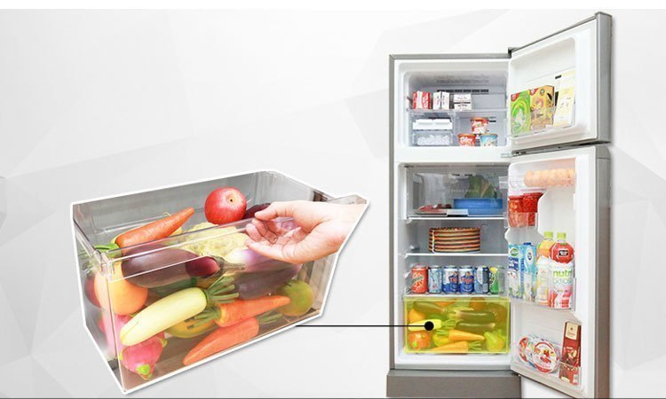 Tủ lạnh Toshiba GR-M28VBZ(S) ngăn đựng rau quả rộng thoải mái