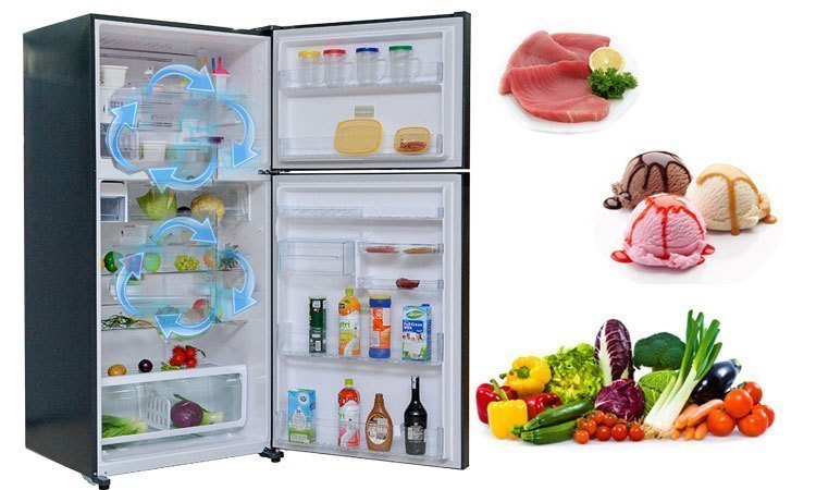 Tủ lạnh Toshiba GR-M28VUBZ(UB) 226 lít xanh đen bảo quản thực phẩm tươi ngon xanh mát