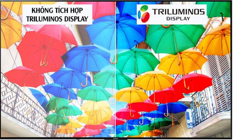 Smart tivi 4K 55 inch Sony KD557000E màu sắc sống động rực rỡ