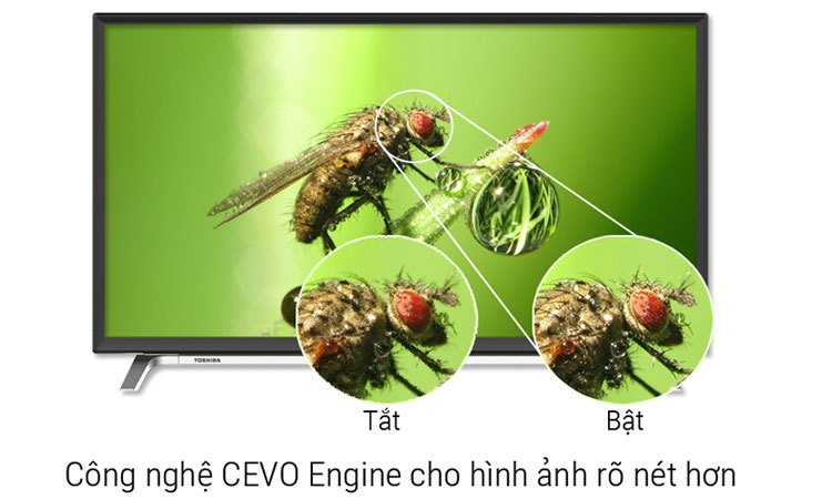 Smart tivi 4K 49inch Toshiba 49U6750VN tái hiện hình ảnh chân thật gần với cuộc sống