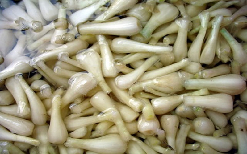 Ngâm củ kiệu với nước phèn chua pha sẵn