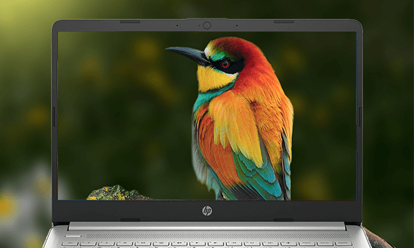 Laptop HP 14S-FQ1080AU R3-5300U/4GB/256GB/Win 10 (4K0Z7PA)