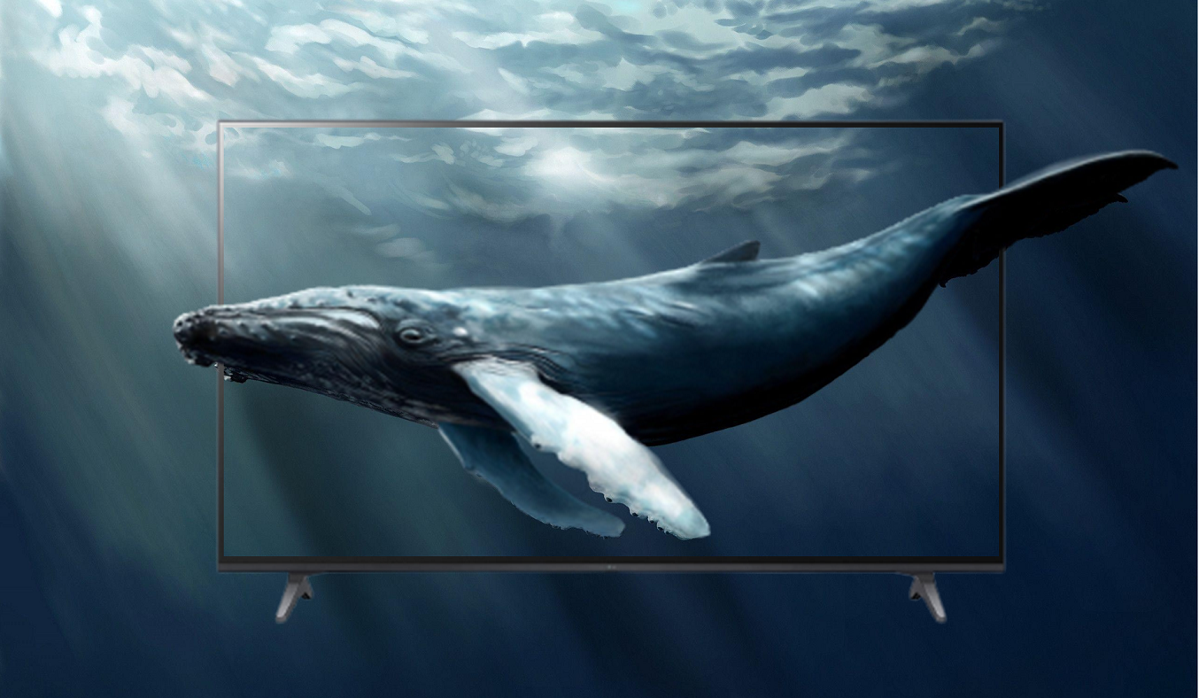 Smart Tivi LG 4K 50 inch 50UP7720PTC - chất lượng hình ảnh 4k