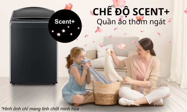 Máy giặt LG Inverter 19 kg TV2519SV7J