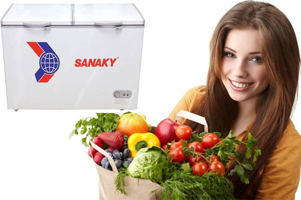Tủ đông Sanaky thiết kế hiện đại