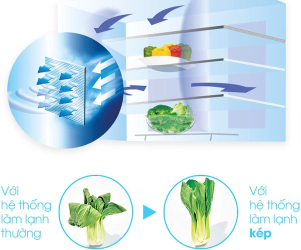 Rau củ sẽ không mau héo úa khi dùng hệ thống làm lạnh của tủ lạnh Sharp