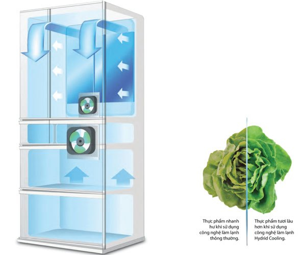 Thực phẩm tươi ngon nhờ vào tủ lạnh Sharp
