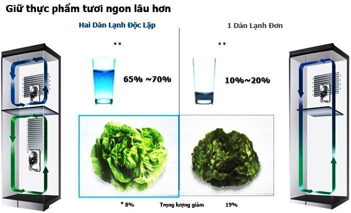 Thực phẩm cũng sẽ bảo quản tươi ngon hơn trong tủ lạnh có 2 dàn lạnh độc lập