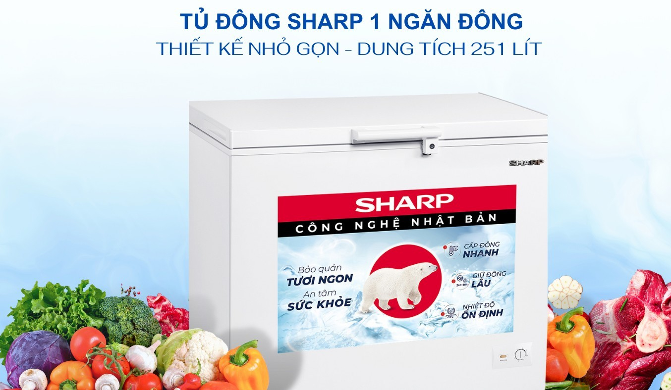 Tủ đông Sharp 251 lít FJ-C251V-WH