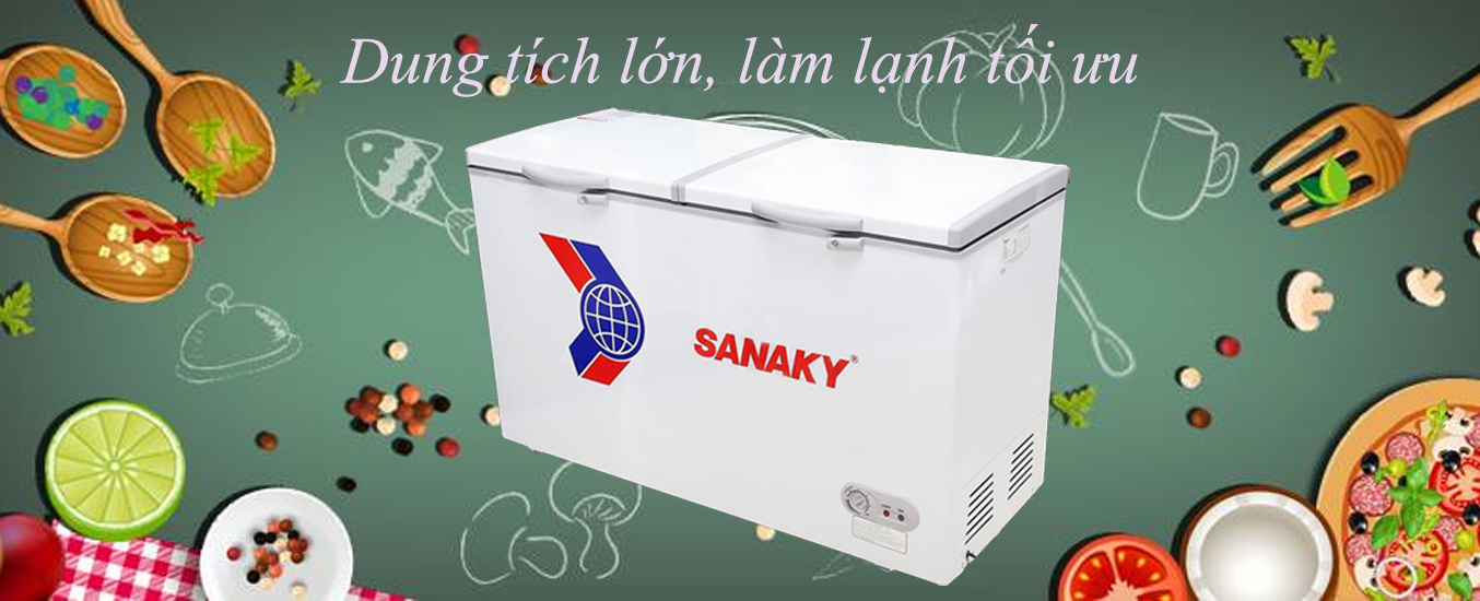Tủ đông Sanaky VH-6699HY 1 ngăn 2 cửa tiện lợi