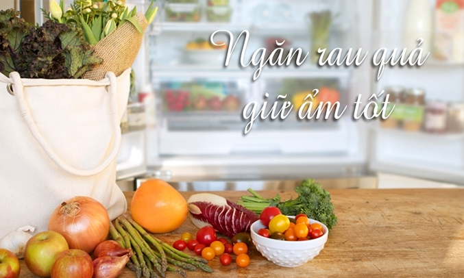 Tủ lạnh Electrolux ETB2300MG 230 lít có ngăn chứa rau quả