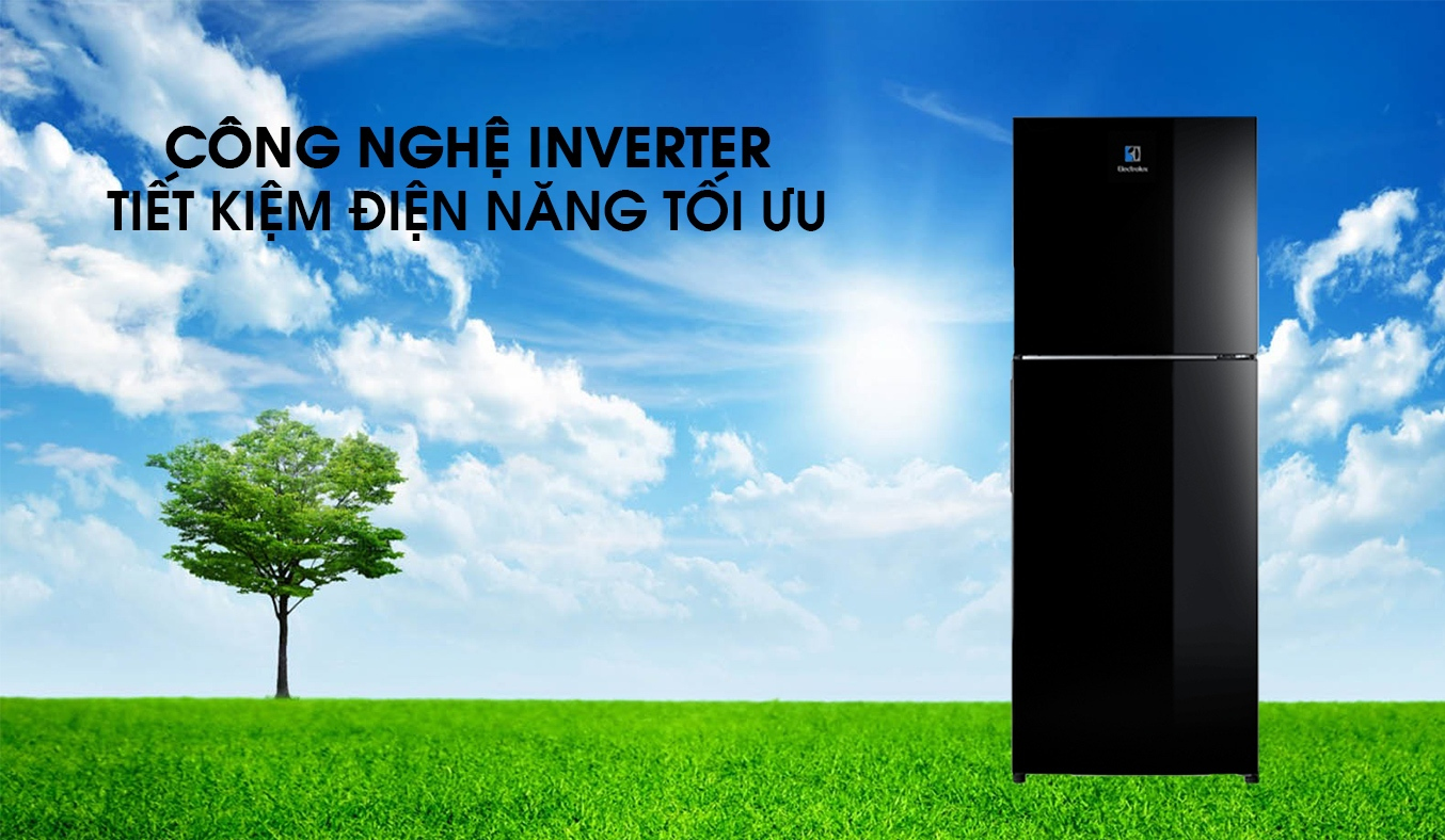 Tủ lạnh Electrolux Inverter 260 lít ETB2802J-H tiết kiệm điện