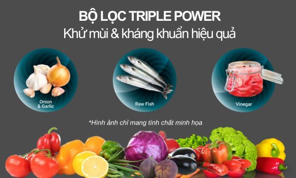 Tủ lạnh Hitachi Inverter 240 lít HRTN5255MFUVN Bộ lọc Triple Power khử hôi tanh hiệu quả