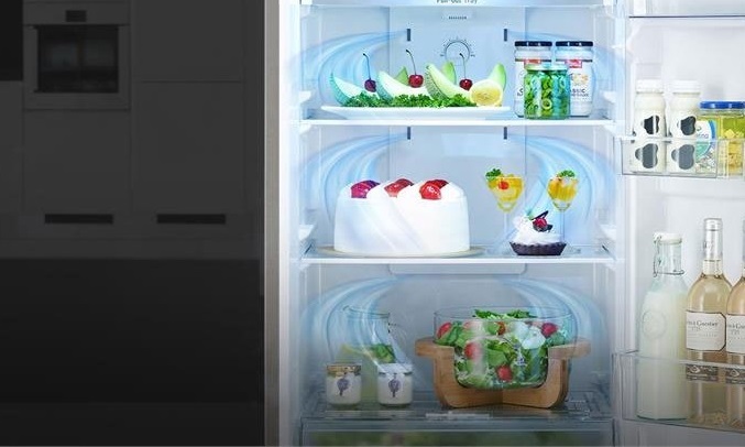 Tủ lạnh LG Inverter 601 Lít GR-D247JDS - Tủ lạnh tiêu diệt mọi ngóc ngách 