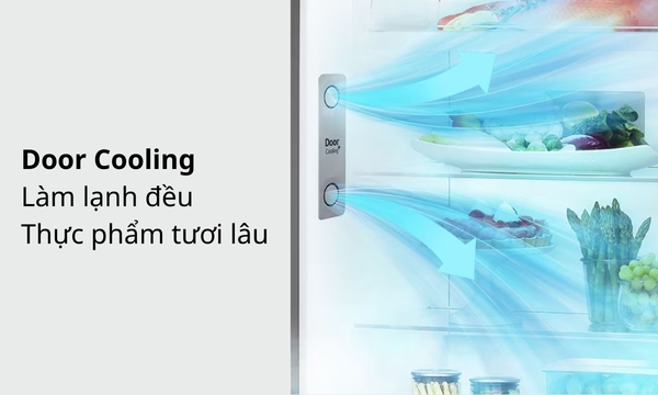 Tủ lạnh LG Inverter 394 lít GN-D392PSA Công nghệ Linear Cooling bảo quản thực phẩm tươi ngon
