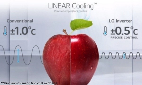 Tủ lạnh LG Inverter 530 lít GR-B53MB - Công nghệ Linear Cooling, rau quả tươi ngon đến 7 ngày
