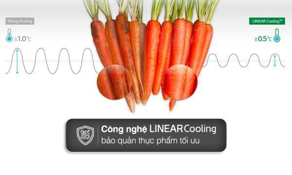 Tủ lạnh LG Inverter 496 lít GR-X22MBI công nghệ LinearCooling™