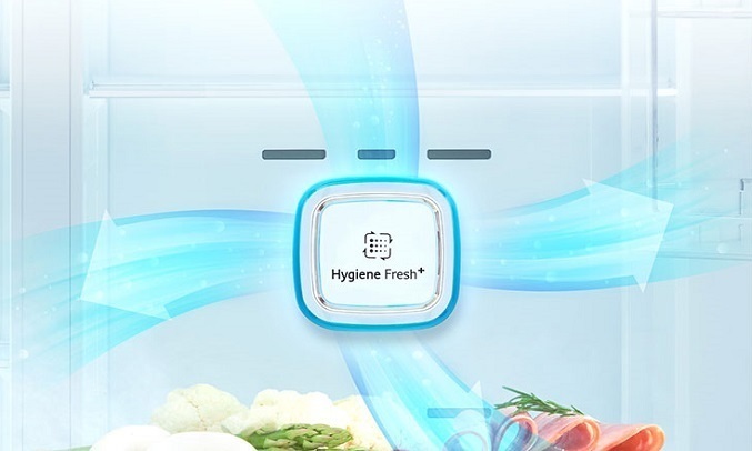 Tủ lạnh LG Inverter 601 lít GR-X247JS - Tủ lạnh LG trang bị bộ lọc kháng khuẩn