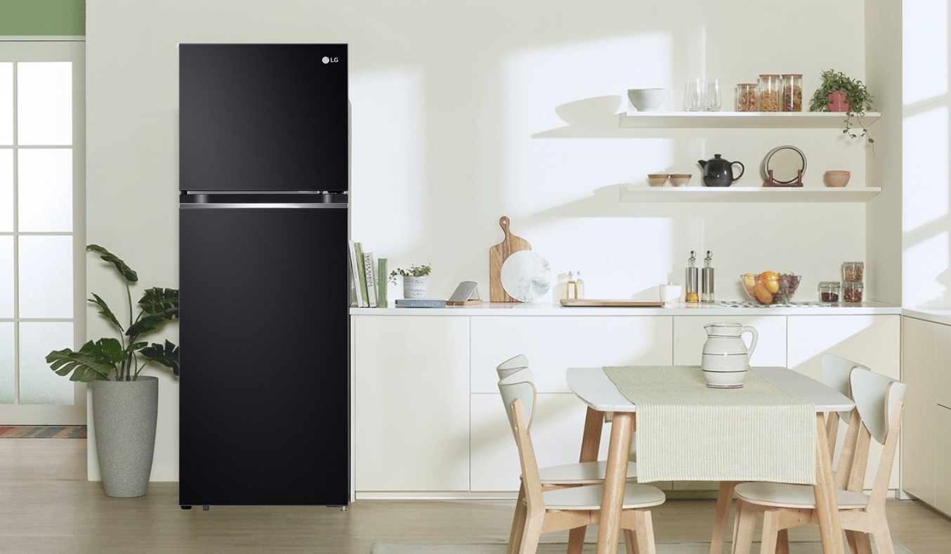Tủ lạnh LG Inverter 243 lít GV-B242WB thiết kế sang trọng