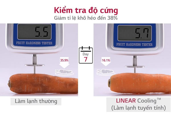 Khám phá công nghệ Linear Inverter đột phá trên tủ lạnh LG | Nguyễn Kim ...