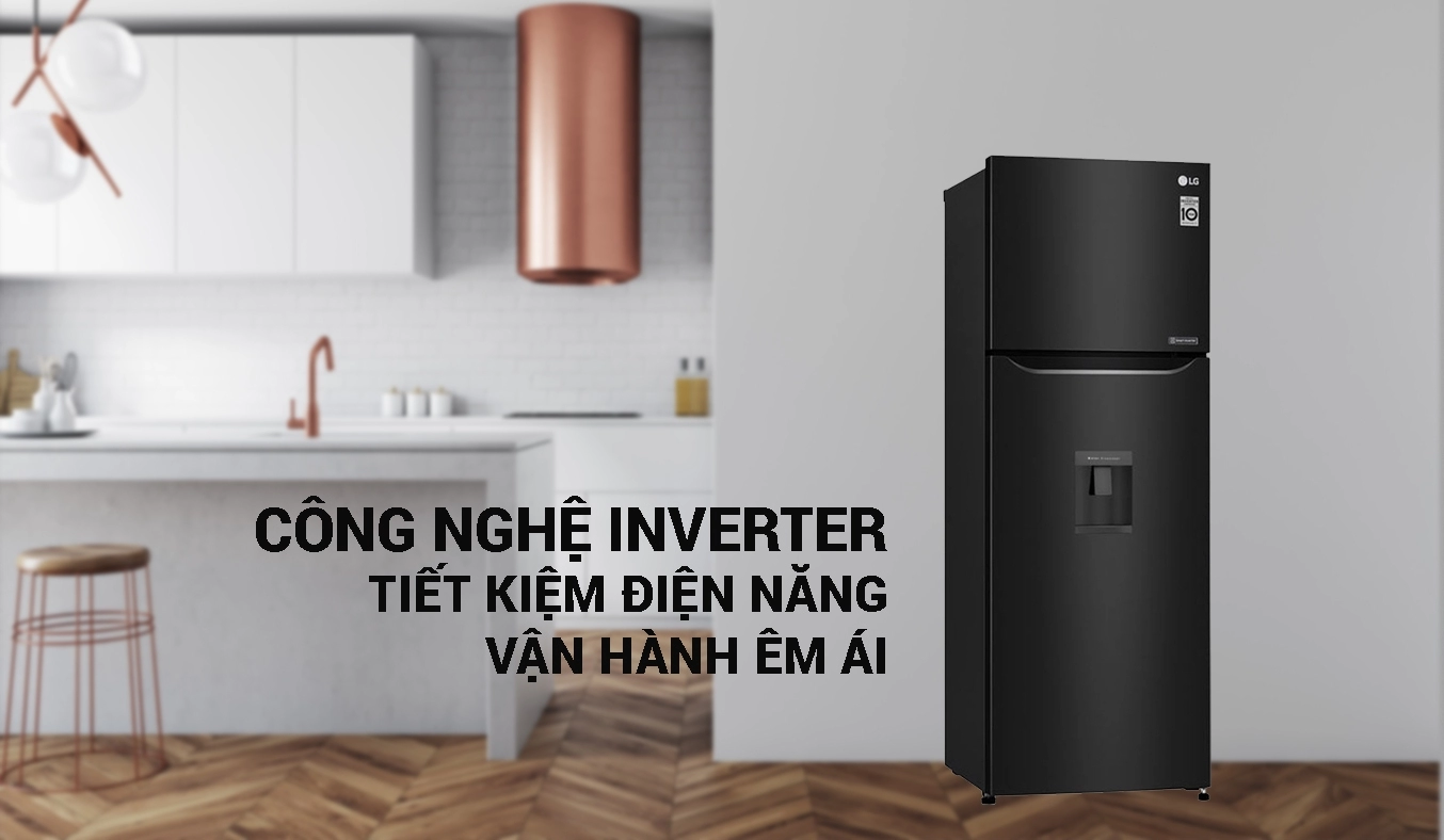 Tủ lạnh LG Inverter 315 lít GN-D315BL - Inverter