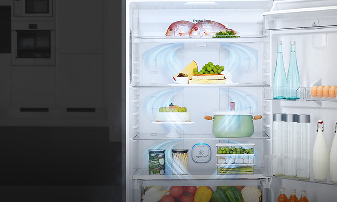 Tủ lạnh LG 410 lít GN-L422GB khử mùi hiệu quả