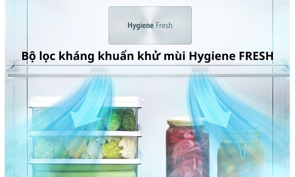 Tủ lạnh LG Inverter 374 lít GN-D372PSA Bộ lọc Hygiene FRESH+™ khử mùi và loại bỏ tới 99.99% vi khuẩn