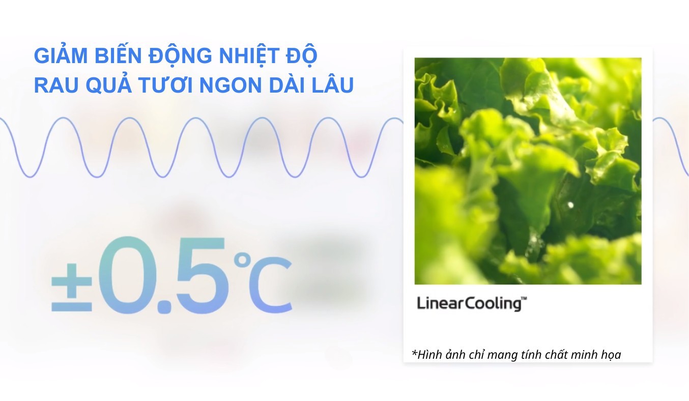 Tủ lạnh LG Inverter 335 lít LBB33BLM