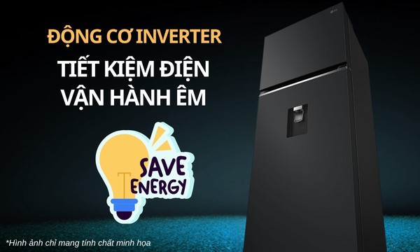 Tủ lạnh LG Inverter 334 lít LTD33BLM