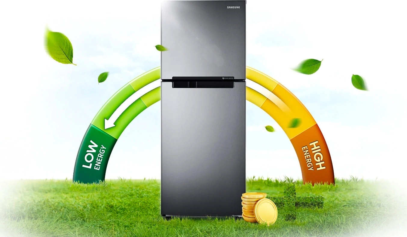 Tủ Lạnh Samsung Inverter 208 lít RT19M300BGS - 