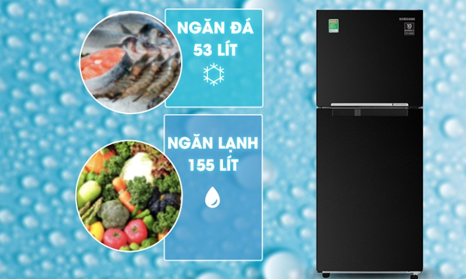 Tủ lạnh Samsung Inverter 208 lít RT20HAR8DBU - Dung tích 208 lít