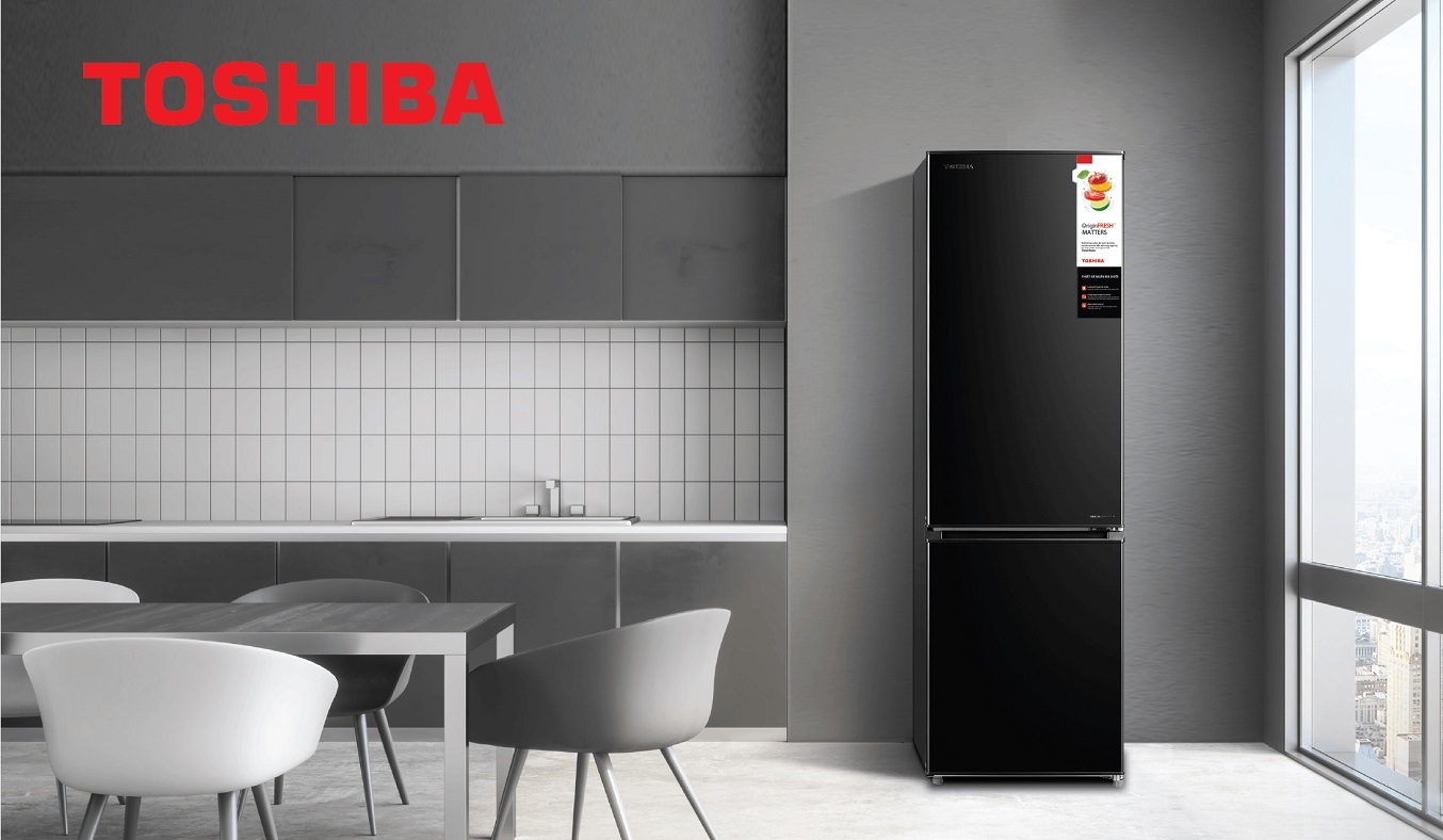 Tủ lạnh Toshiba Inverter 270 lít GR-RB350WE-PMV(30)-BS - Thiết kế hiện đại