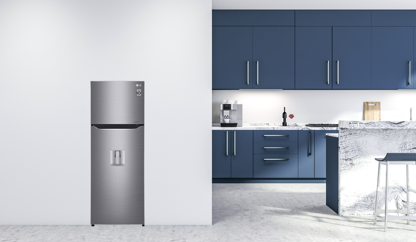 Tủ lạnh LG Inverter 255 lít GN-D255PS - Thiết kế truyền thống