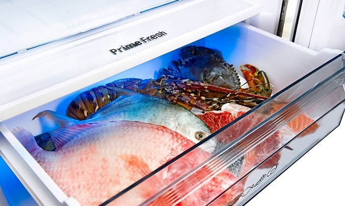 Tủ lạnh Panasonic Inverter 290 Lít NR-BV320GKVN - Tủ đông mềm Prime Fresh