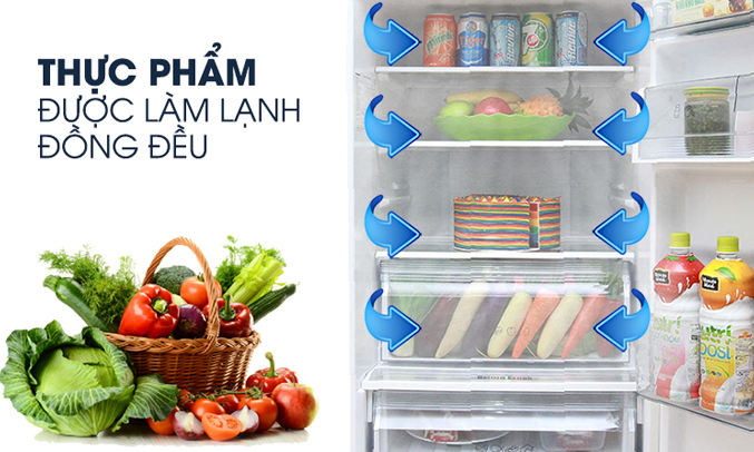 Tủ lạnh có dung tích sử dụng 290 lít