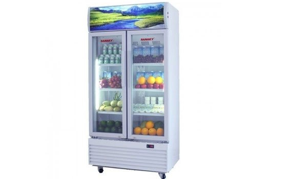 Tá»§ mát Sanaky VH-1009HP dung tÃch lá»nÂ