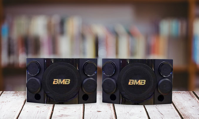 Loa BMB CSE 310 SE sang trọng