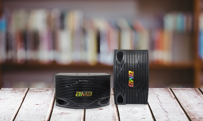 Loa BMB CSN 500 SE thiết kế đơn giản tinh tế