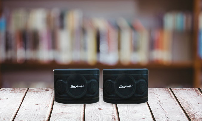 Loa BN Audio BN 404II tinh tế