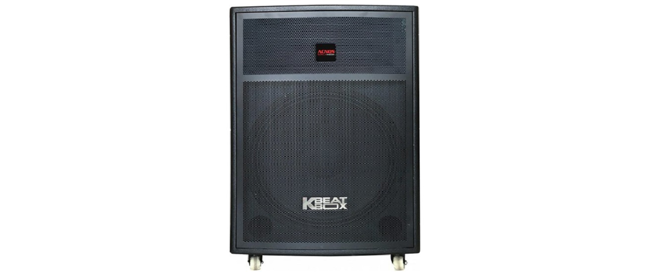 Loa kéo Acnos CB43G - Giải trí ấn tượng