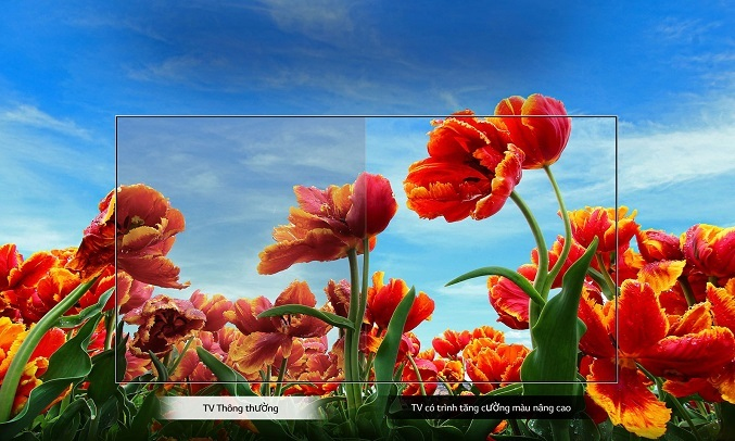 Smart Tivi LG Full HD 43 inch 43LM6300PTB