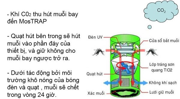 Đèn bắt muỗi hoạt động khá đơn giản. Nhưng kết quả sẽ làm bạn ngạc nhiên.