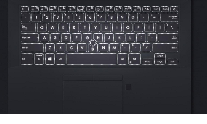 Laptop Asus ExpertBook P2451FA i5-10210U/8GB/512GB EK0229T - Bàn phím rút gọn tiện dụng