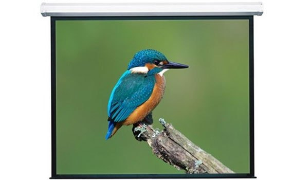 Màn hình máy chiếu điện Apolo 120inch chất lượng vượt trội