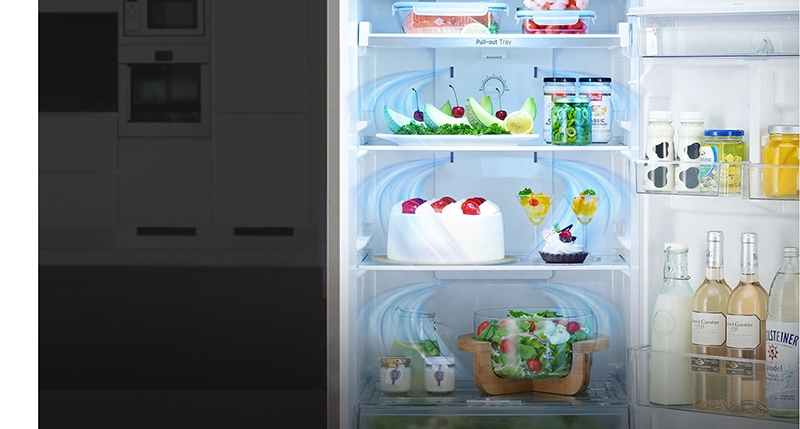 Top 5 tủ lạnh 2020 LG-B247JDS