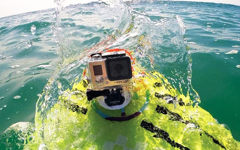 Cha đẻ của GoPro là người đam mê môn thể thao lướt sóng